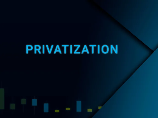 Privatization